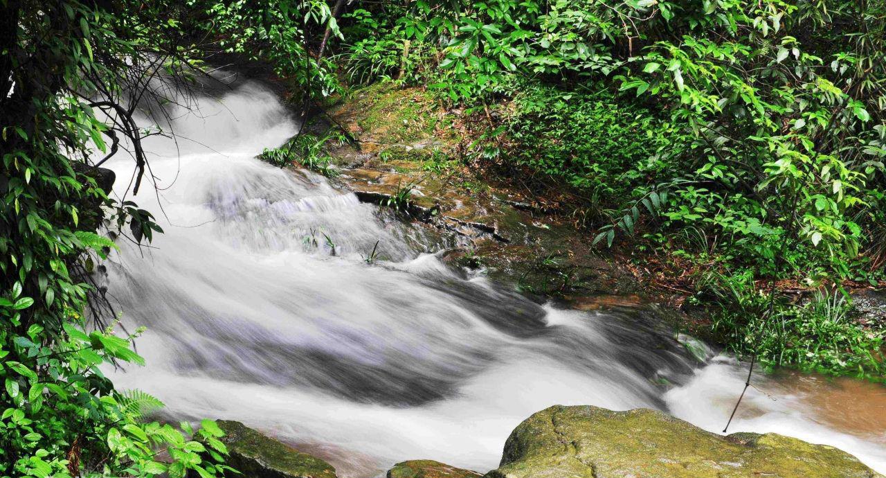  p data-id="gnwq22u5qq">白水仙风景区位于 a target="_blank" href=