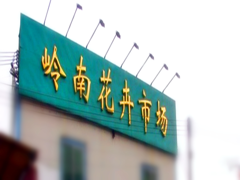  p>岭南花卉市场—— a target="_blank" href="/item/广州市/21808"