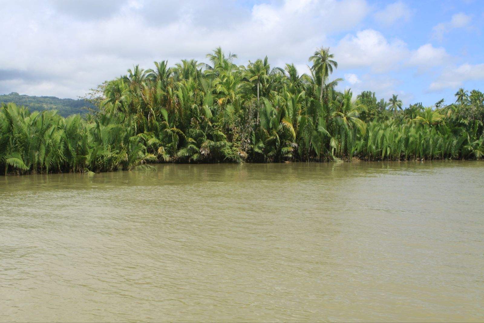 madeira river
