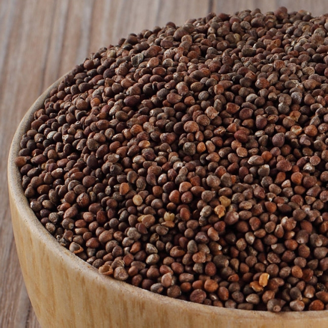  p data-id="go0j9ifc2l">紫苏子,为 a targe