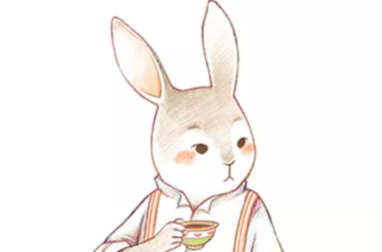 兔子先生