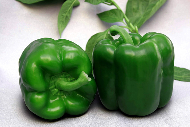 甜椒