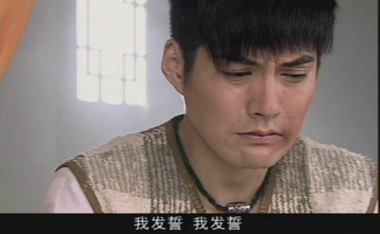 执导, a href="#" data-lemmaid="9794812">严屹宽 /a>主演的电视剧