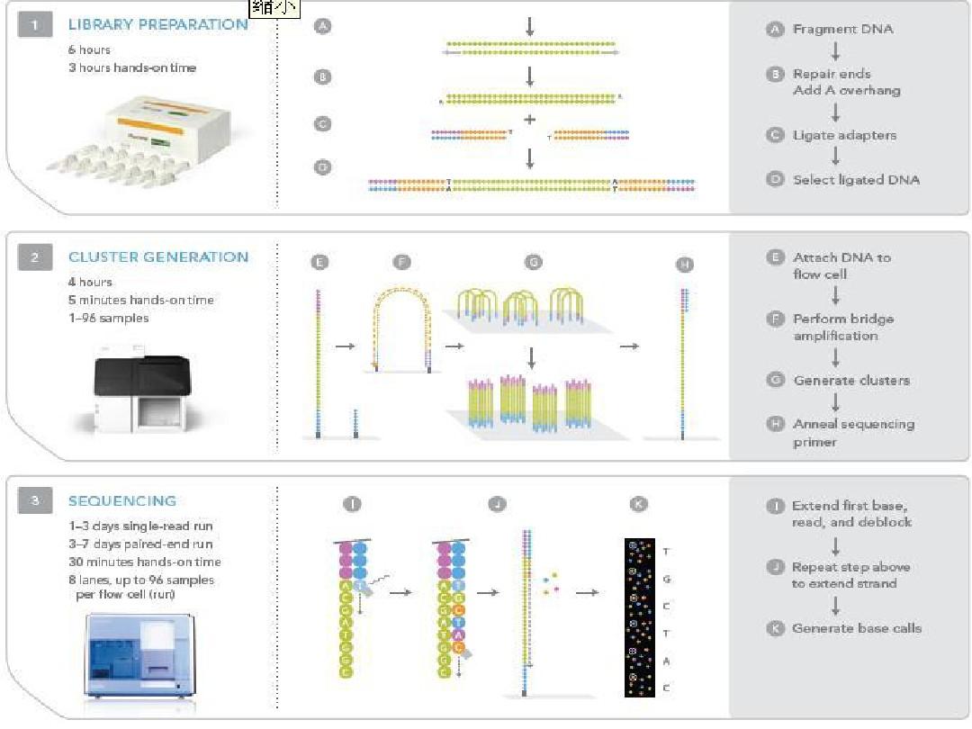 第二代dna测序技术