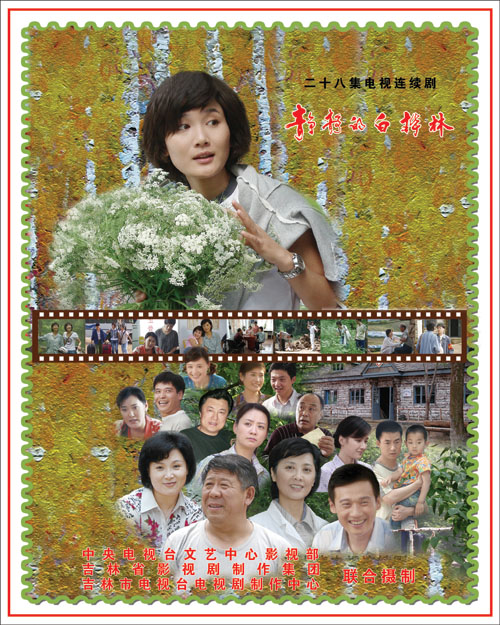 静静的白桦林