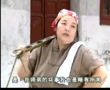 严震北是香港制作的电视剧【 a target="_blank" href="/item/功夫