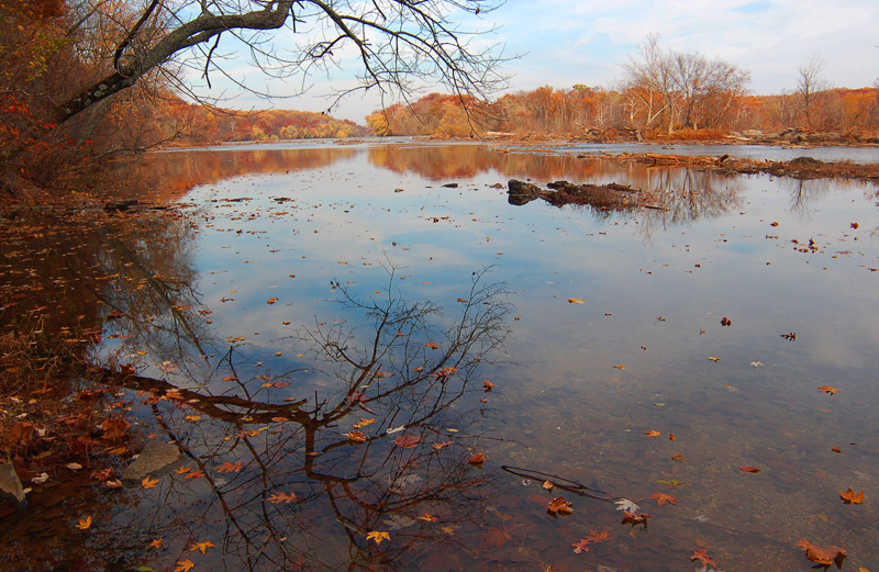 potomac river