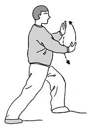  p data-id="gnbjllr8ev">白鹤亮翅,是太极招式之一.