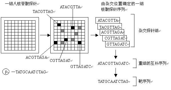 ab 結果分析存儲到哪_spss探索分析結果分析_spss通徑分析結果分析