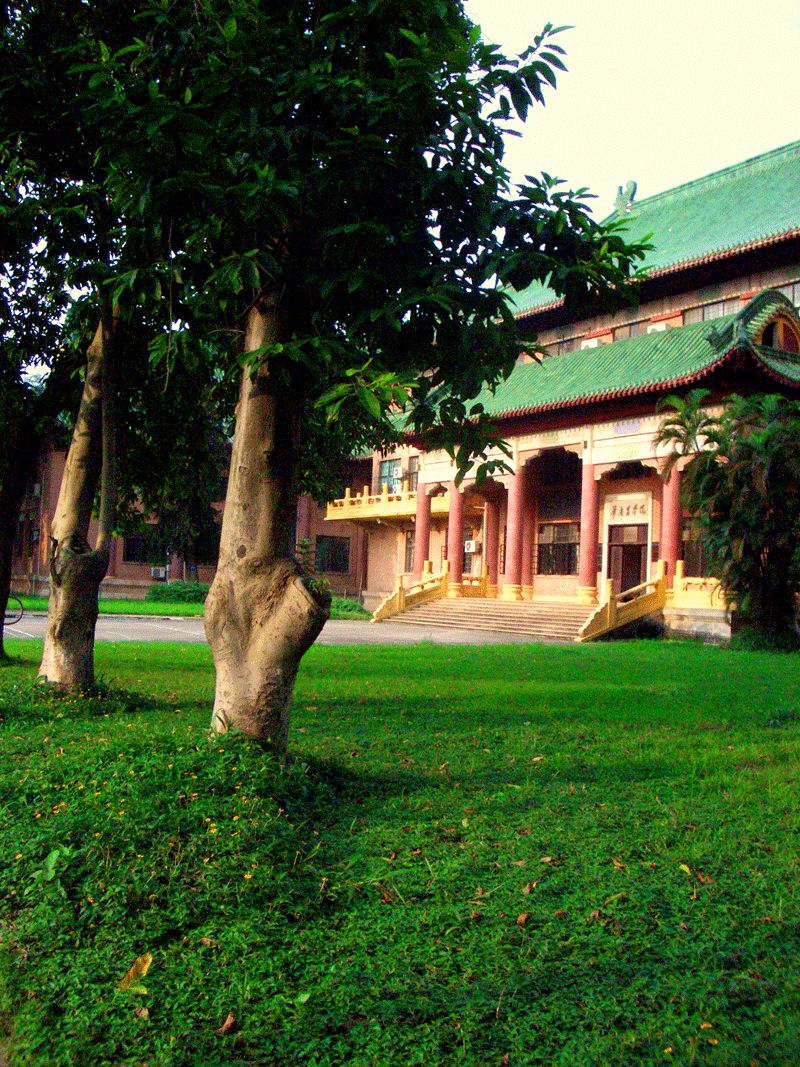 华南农大林学院