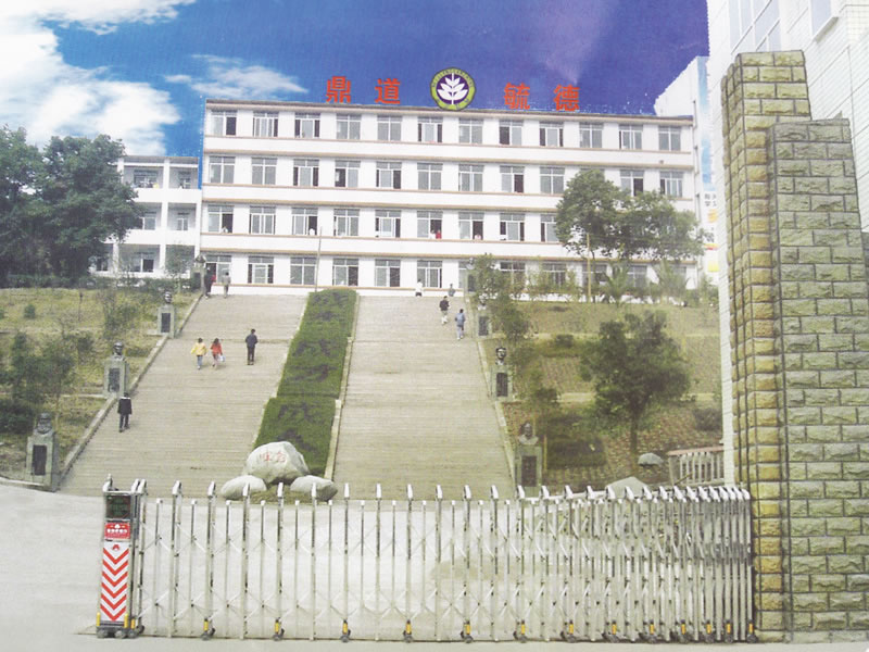 县中学,筹建于1979年,1982年正式招生,1990年更名为现名,简称内江三中