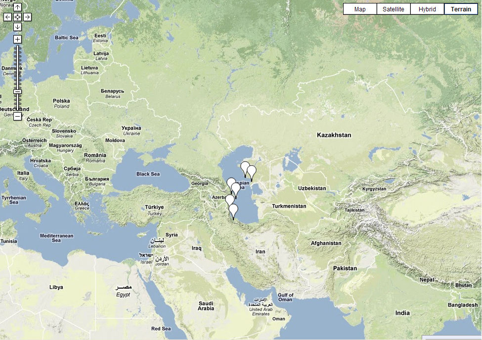卵圆形或长圆形,无色,或由于体内共生的藻类而 表现出绿色或褐色. /p>