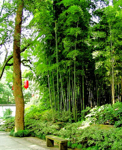  p data-id="go03iqxpfd">黄龙洞很有创意,进门松篁交翠,山径幽深.