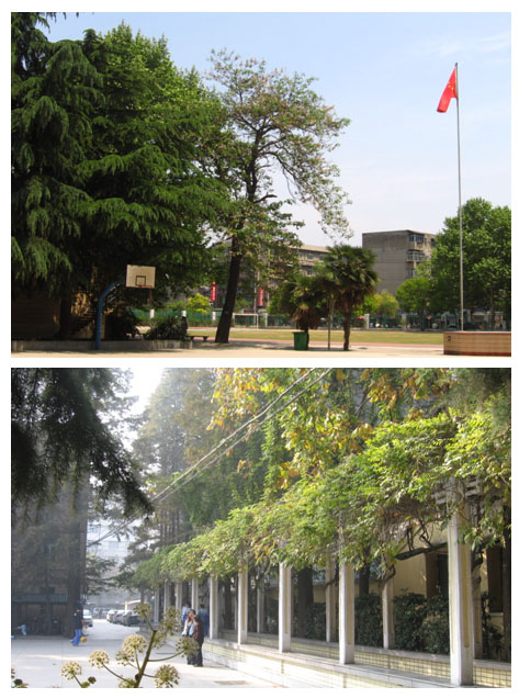 南京市第六中学