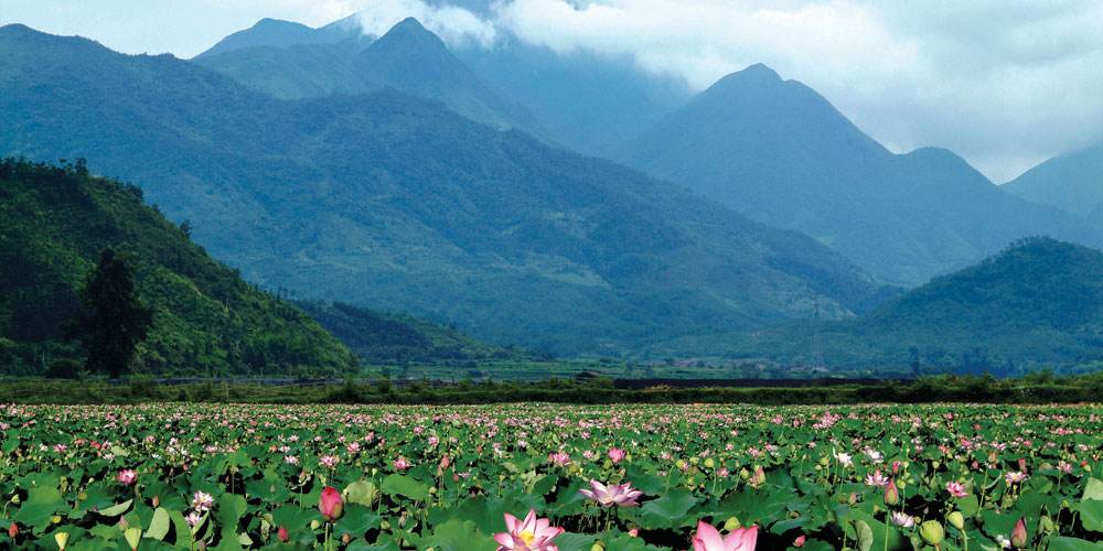  p data-id="gnvilt2ubv">军峰山位于江西省宜黄县和南丰县交界处