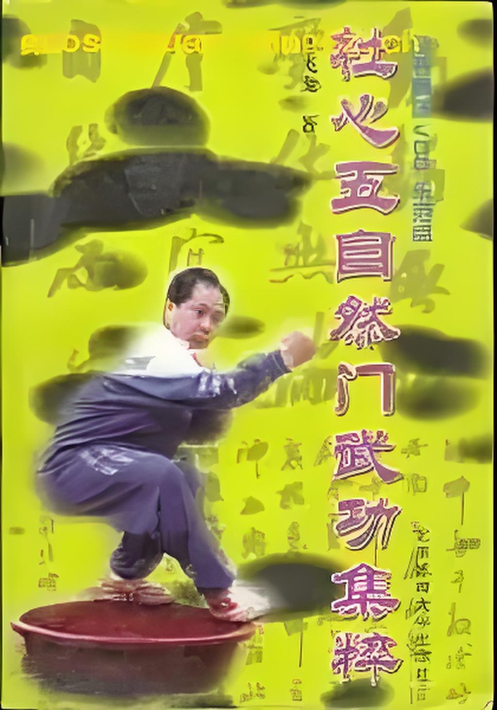 杜心武自然门武功集粹