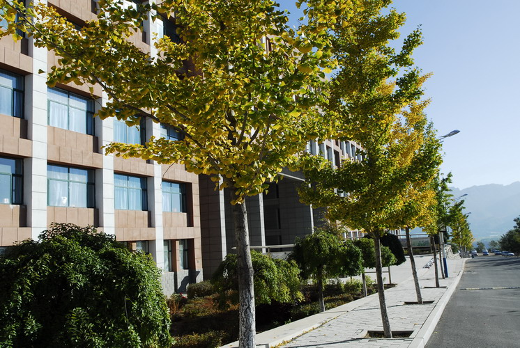 朝阳高等师范专科学校