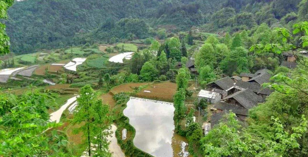 id="go0j2jz054">李家河镇,隶属于湖北省恩施土家族苗族自治州宣恩县 