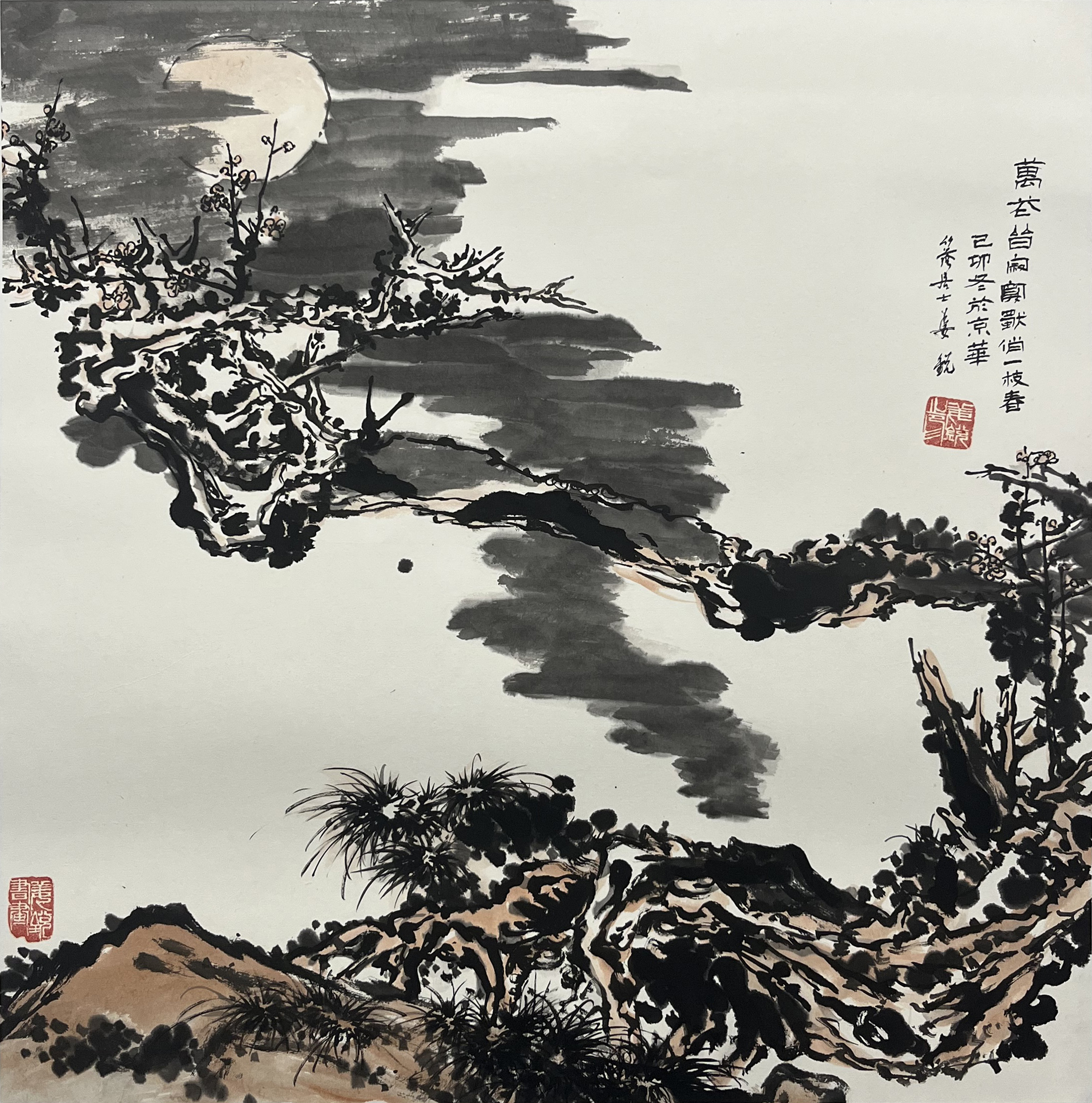 姜锐