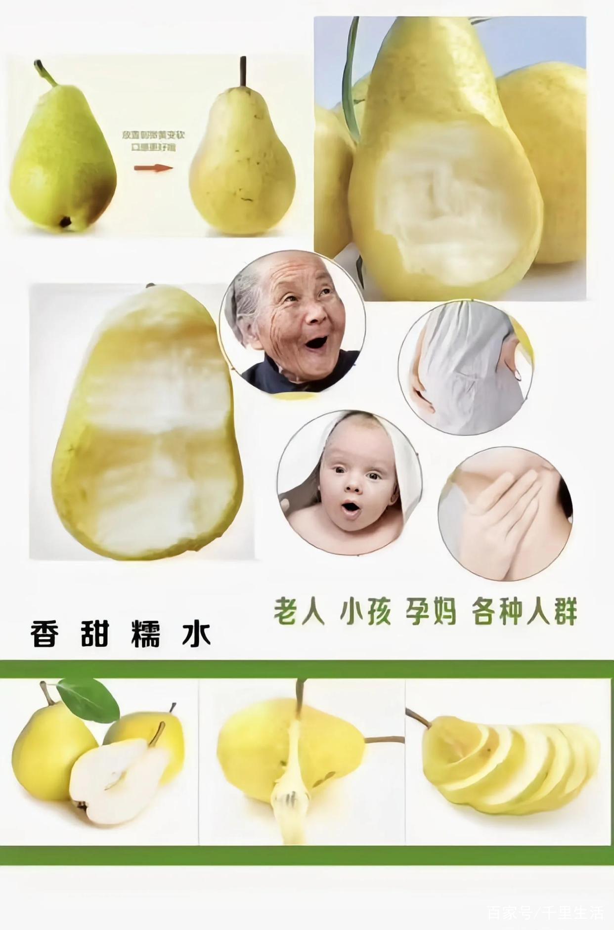 山东太婆梨，“葫芦梨”，拥有“冰淇淋”般的口感，吃一口就上瘾_百科TA说