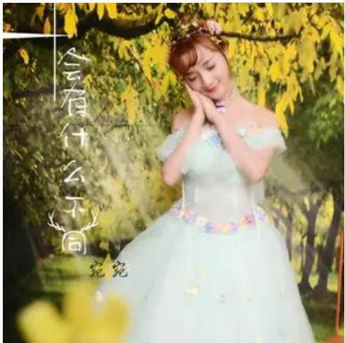  p>《会有什么不同》是宛宛演唱的歌曲,龙勇作词,龙勇作曲,收录于专辑