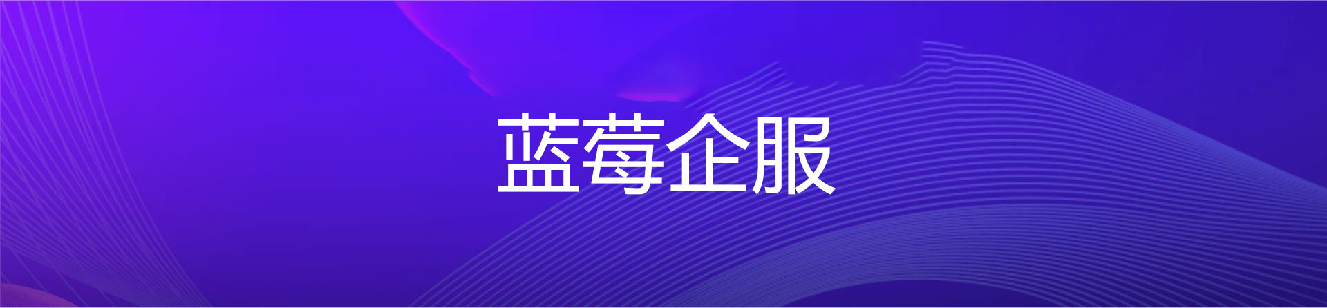 蓝莓企服