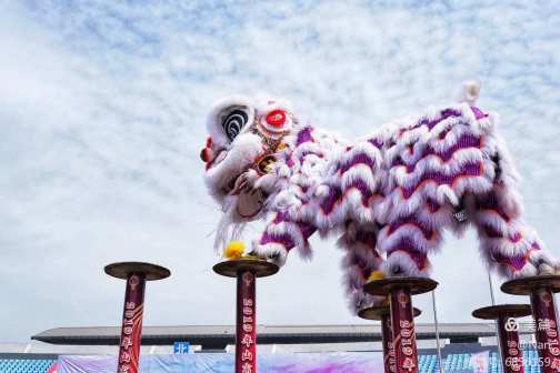 狮舞（高台狮舞）_百度百科
