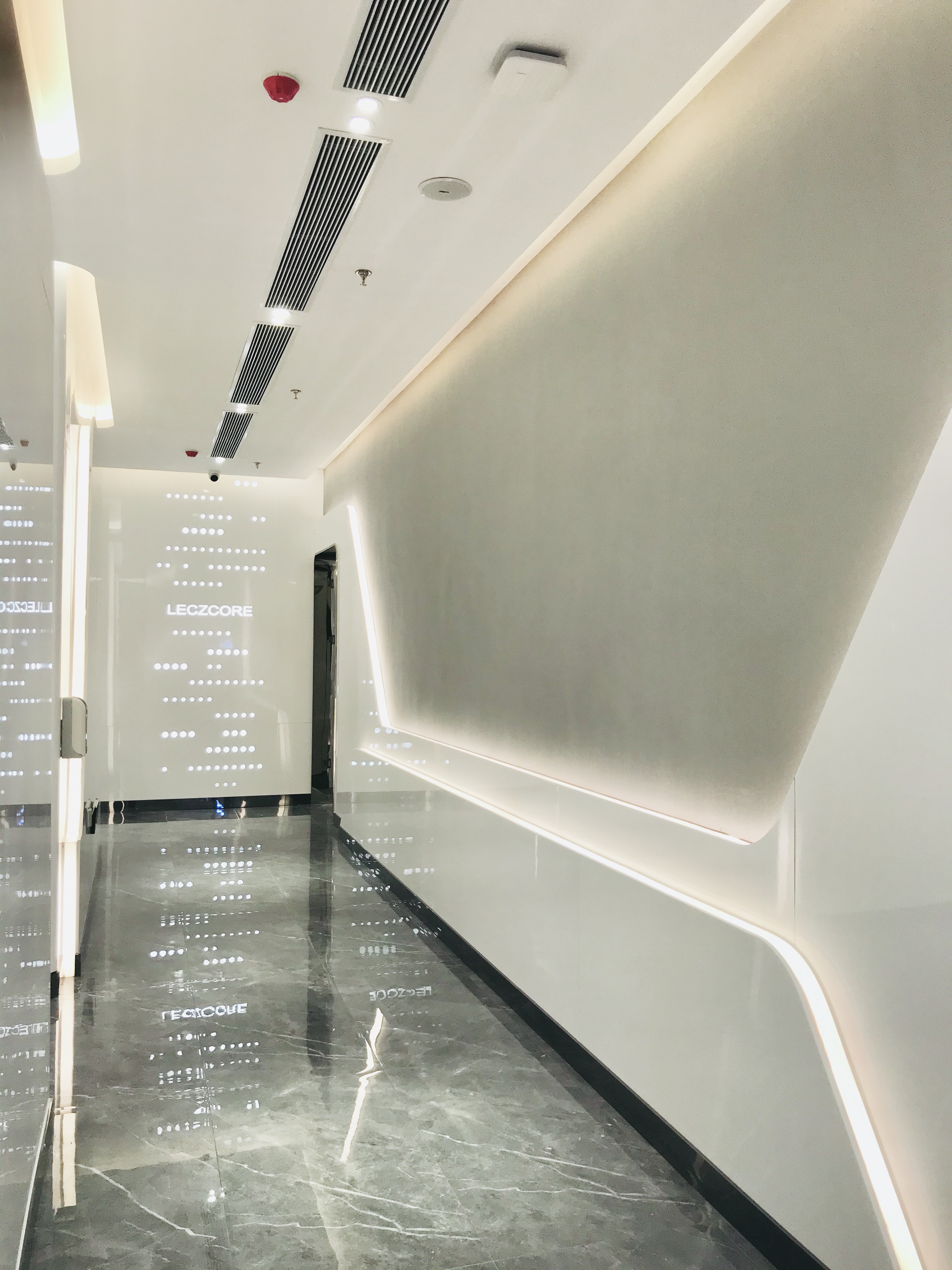 西宁丽滋卡尔门诊有限公司