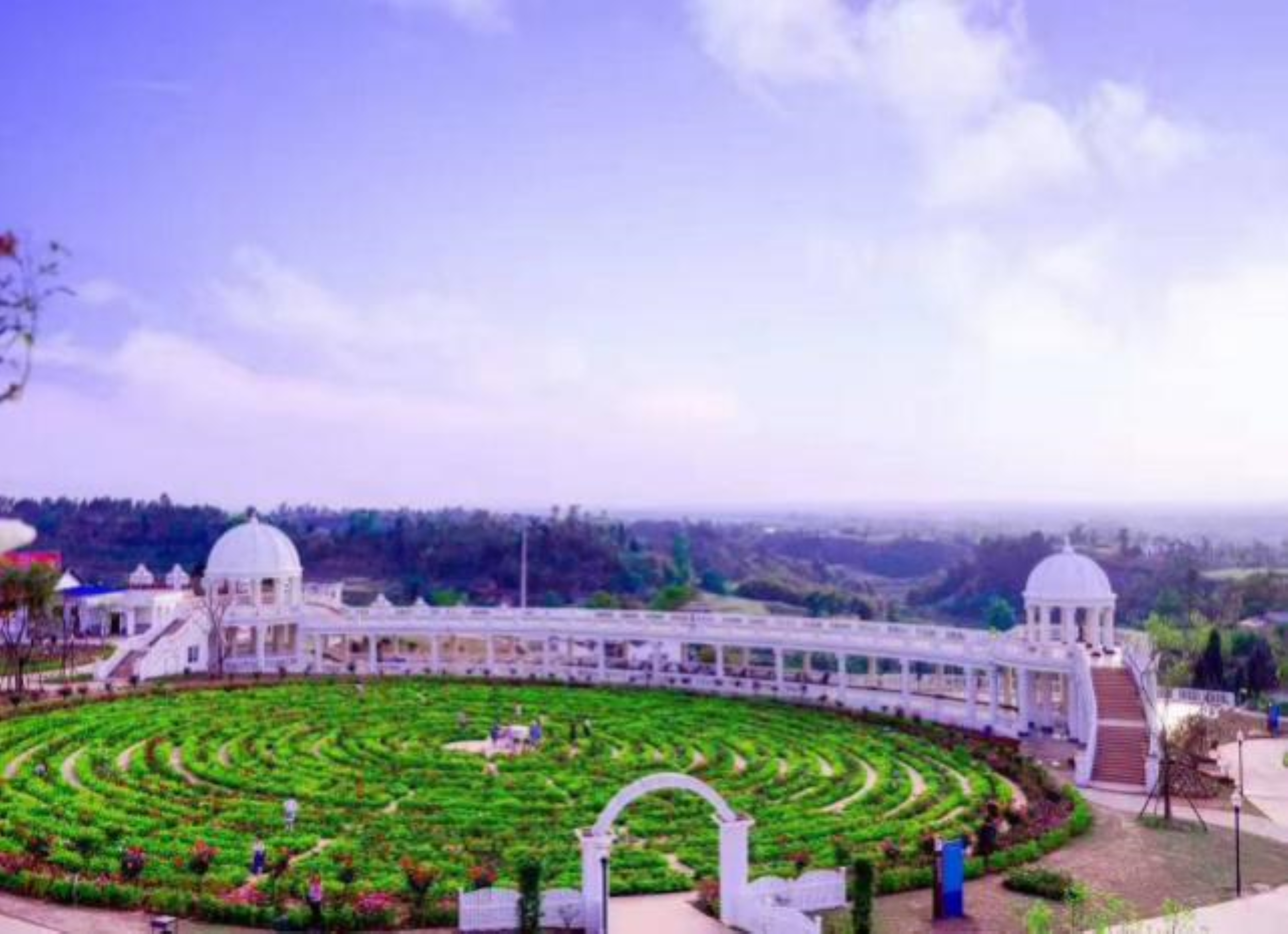 自贡·中国玫瑰花海