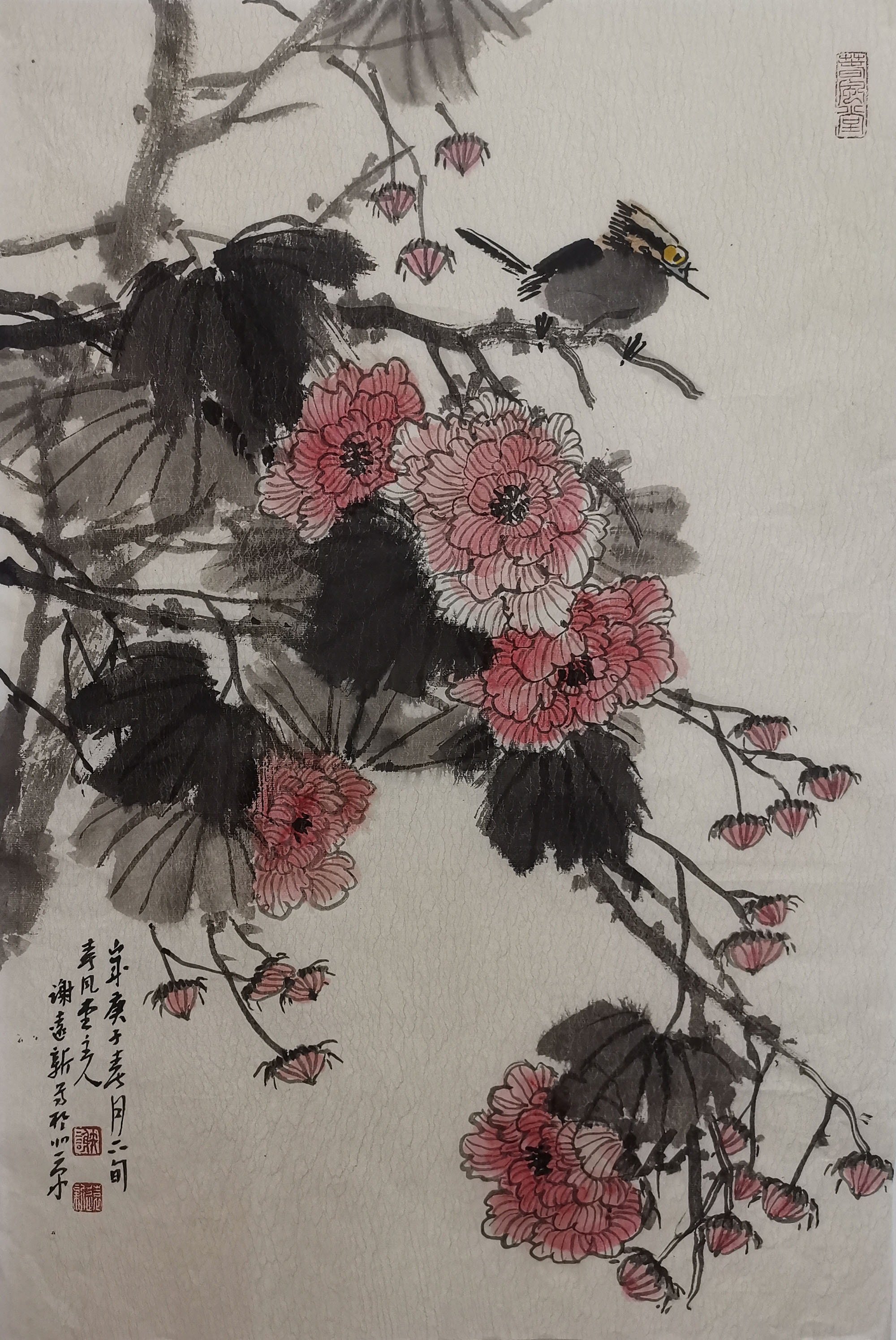 谢远新