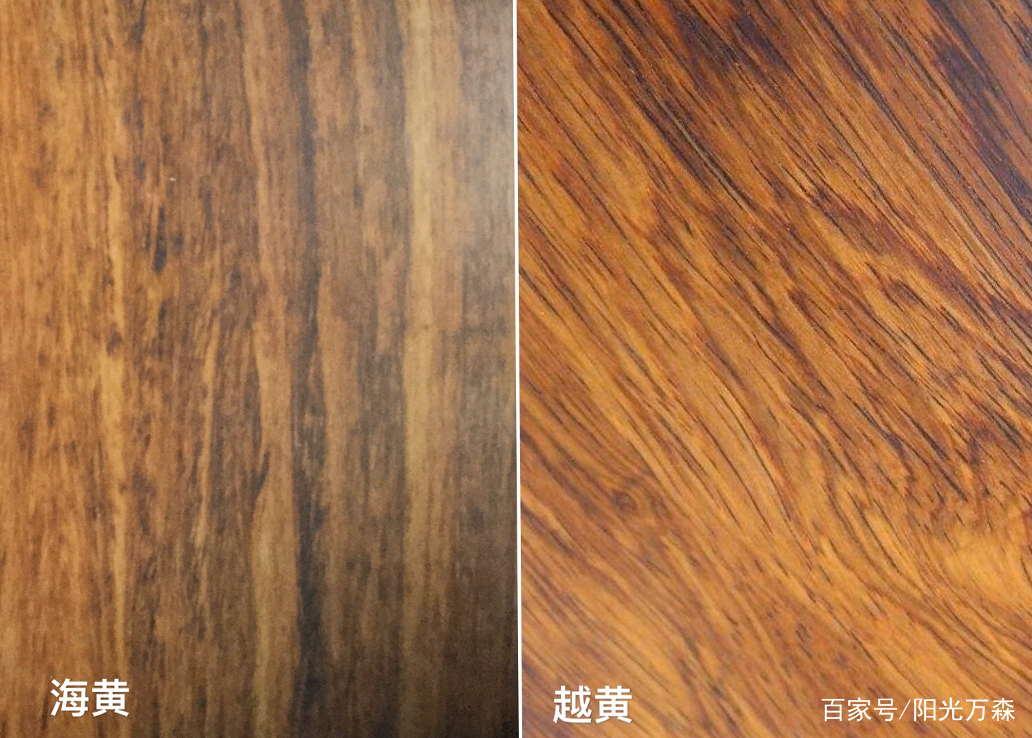详解：海南黄花梨、越南黄花梨名称的由来与特征区别_百科TA说