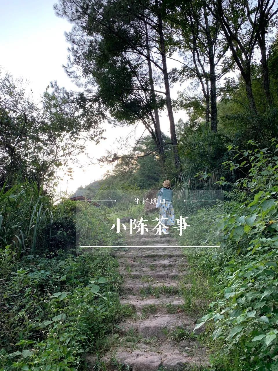 诧异：紫红袍、小红袍、北斗、奇丹，它们都是大红袍的亲儿子？_百科TA说