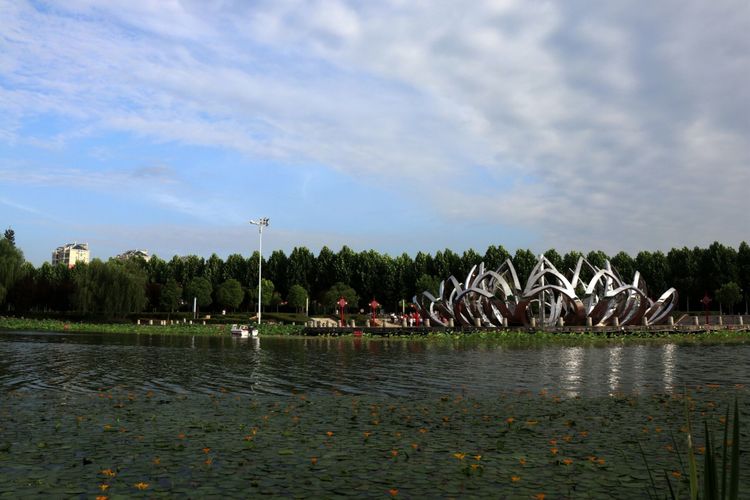  p>驸马沟生态公园位于河南省项城市北部,北邻项城市体育馆,及市政府