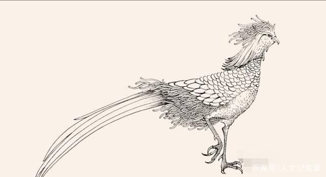 中国神妖大全之《鸾鸟》：鸾鸟出现都是政治清明、天下太平的征兆_百科TA说