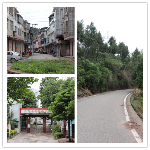  p data-id="gnzpi2ik13">思德镇,隶属于四川省南充市仪陇县,地处 a