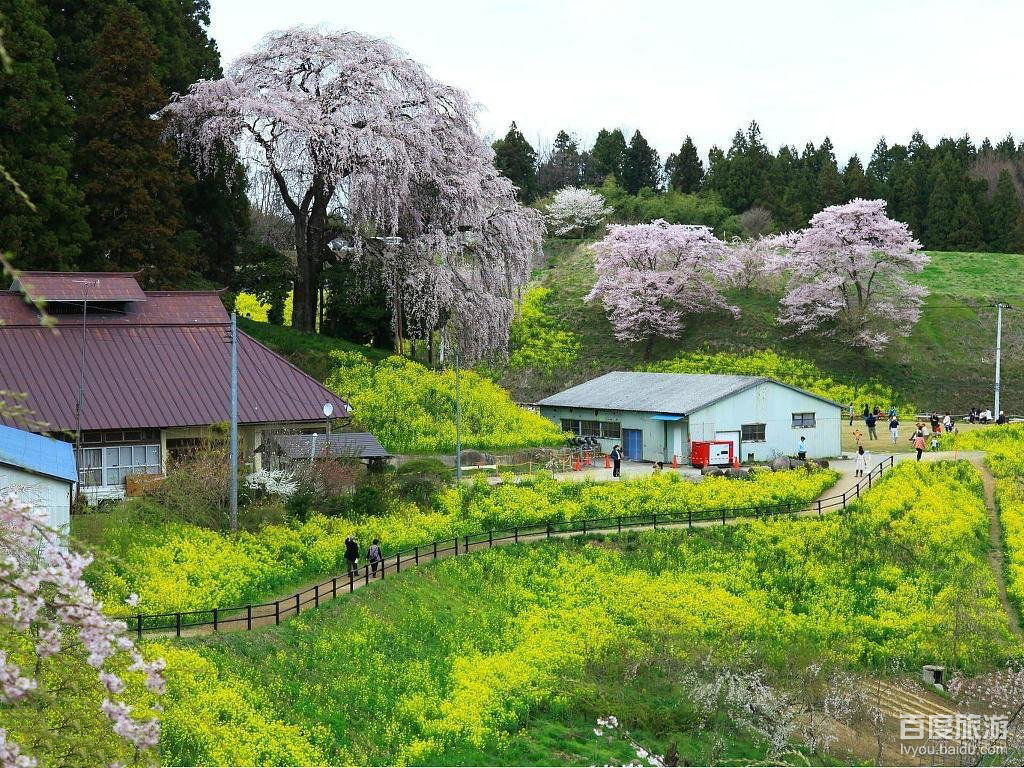  p>福岛县(日文:ふくしま けん;罗马字:fukushima-ken),是日本东北