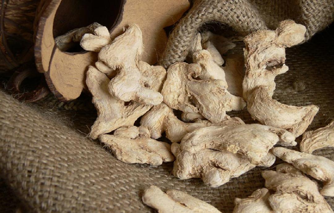 dichorisandra thyrsiflora