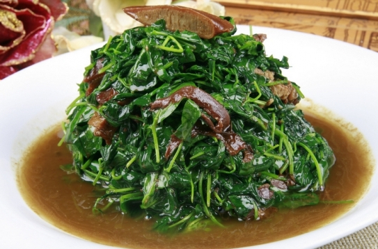 山药炒苜蓿(苜蓿和山药能在一起吃吗)