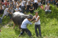 高定苗寨
