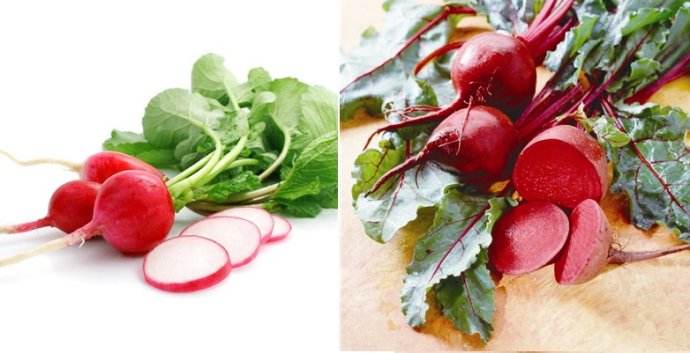  p>察右前旗甜菜,内蒙古自治区乌兰察布市 a target="_blank" href="