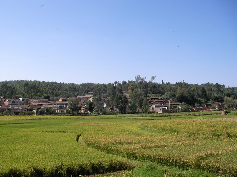  p>该村隶属泸西县午街铺镇,是镇政府所在地,交通方便,距县城18公里.