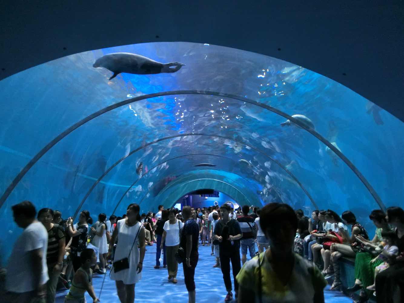 重庆极地海洋世界