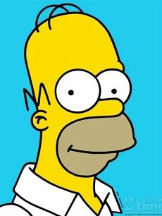 data-lemmaid="14120853">霍默·杰伊·辛普森 /a>(homer jay simpson