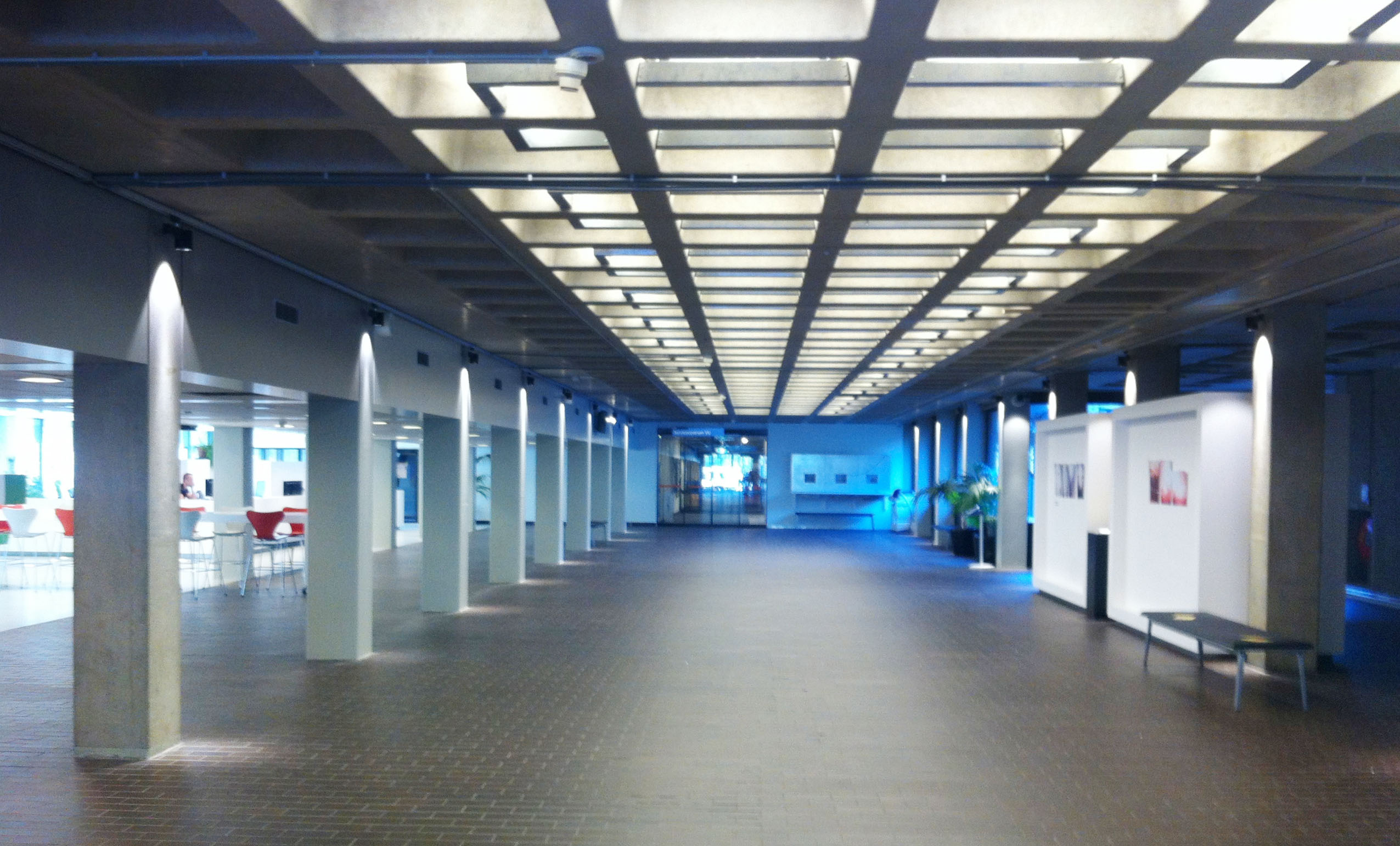 荷兰语:vrije universiteit amsterdam),又译为荷兰自由大学,简称阿