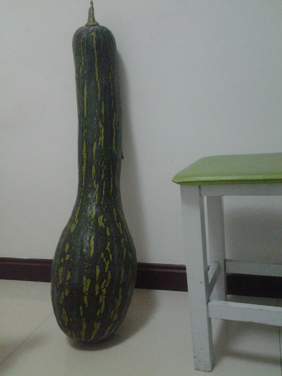  p data-id="gnyv2rp148">拉瓜是一种蔬菜,拉