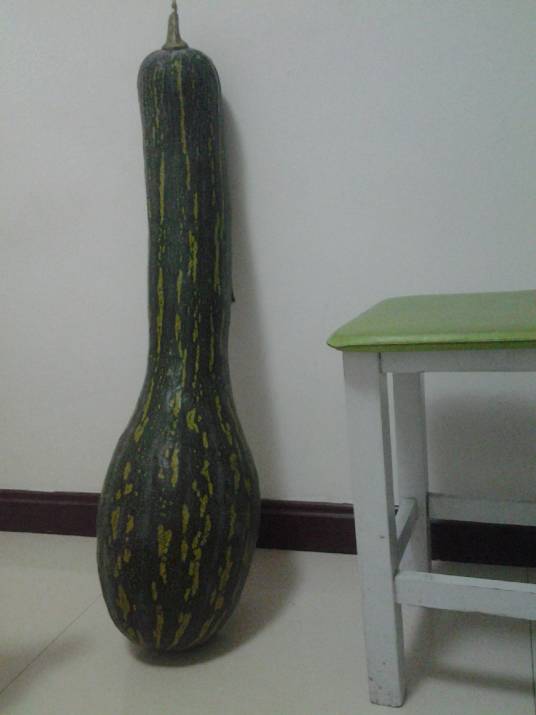 拉瓜_百度百科