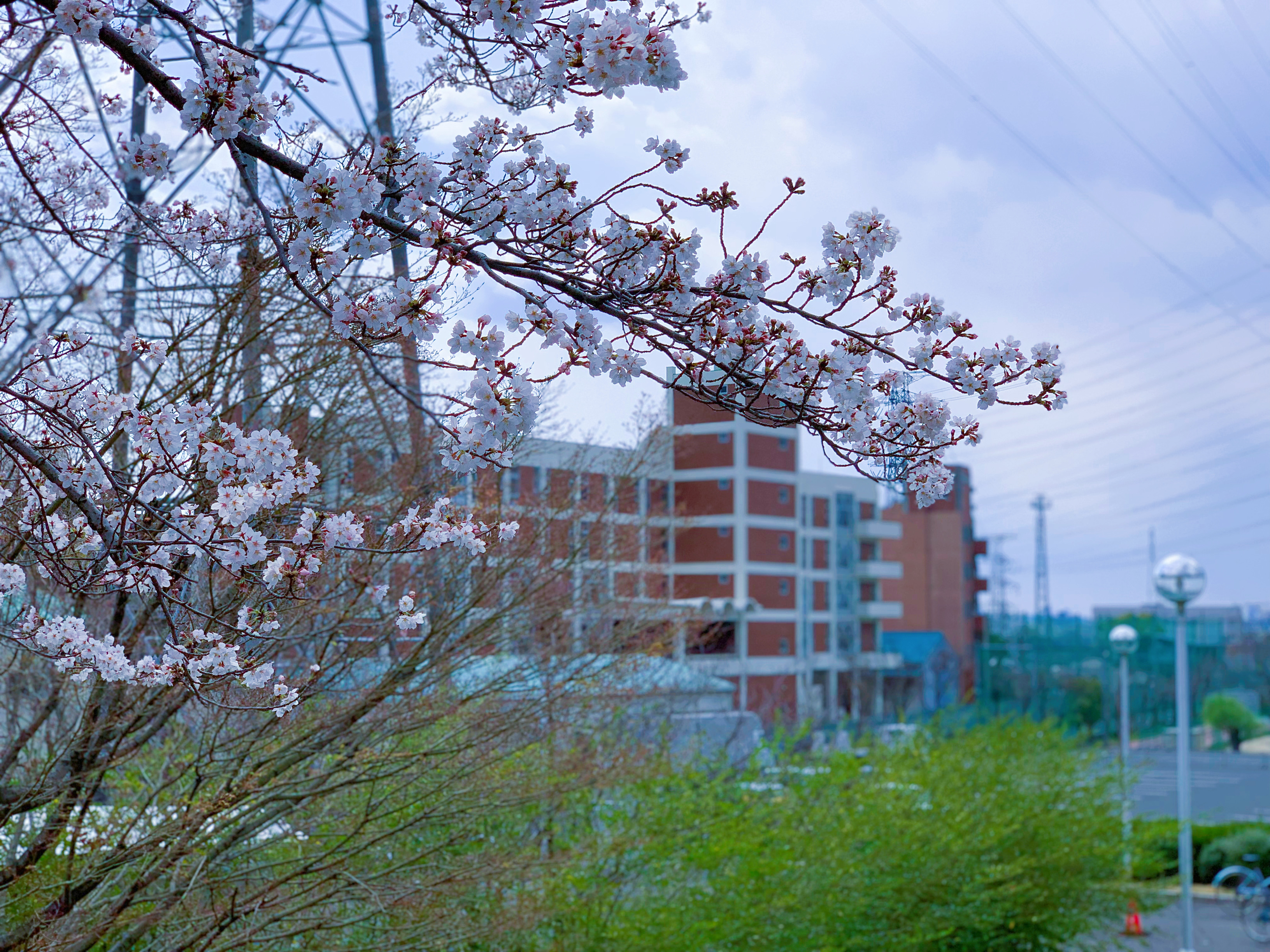  p>大阪产业大学(日文平假名:おおさかさんぎょうだいがく,英文名称