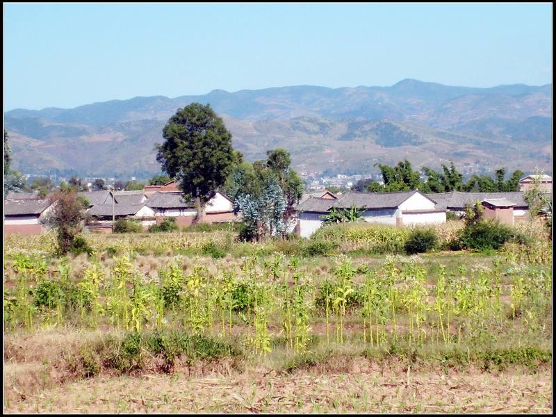  p>新胜丁家营村隶属于弥渡县新街镇新胜村委会,该村国土面积0.