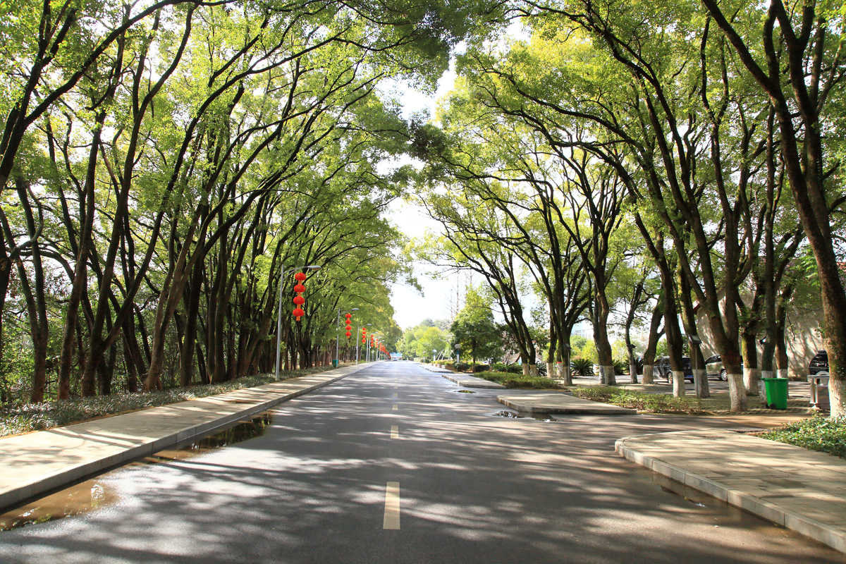 江西省林业科学院