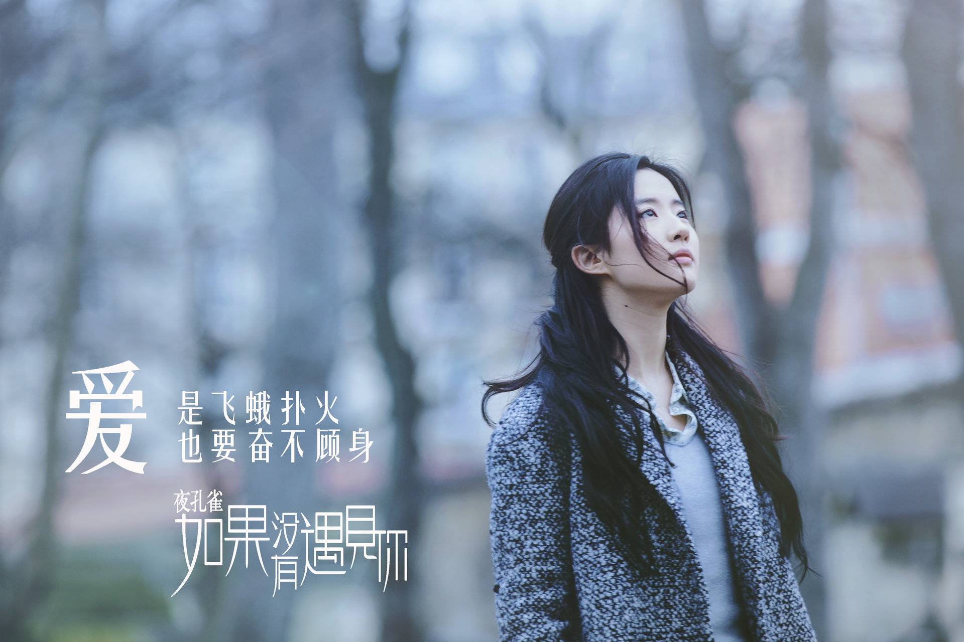 夜孔雀·如果没有遇见你